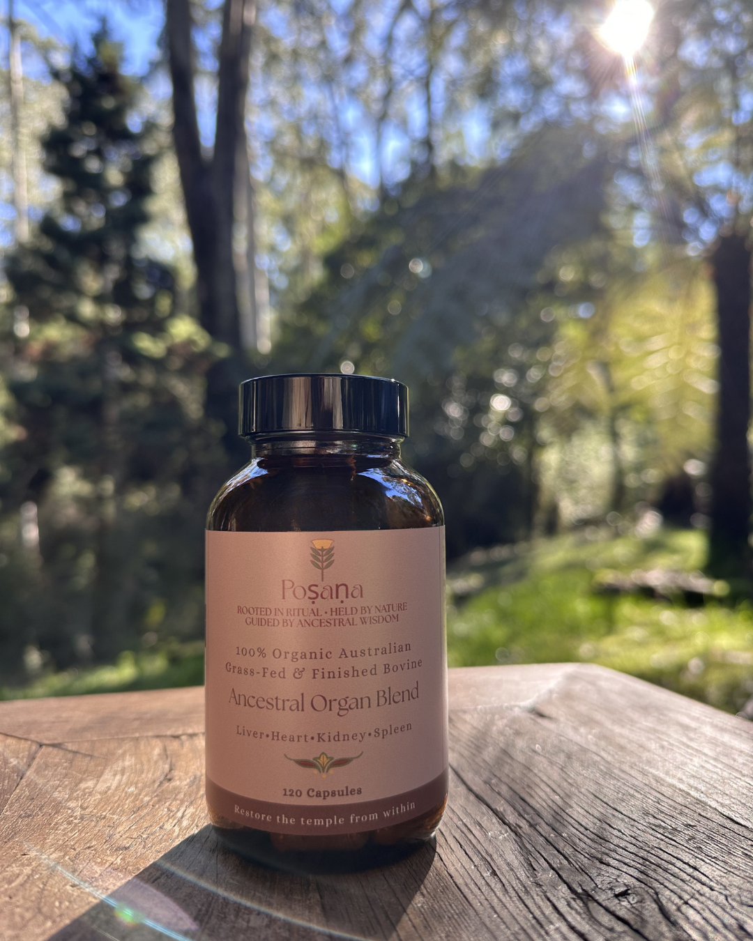 Ancestral Organ Blend