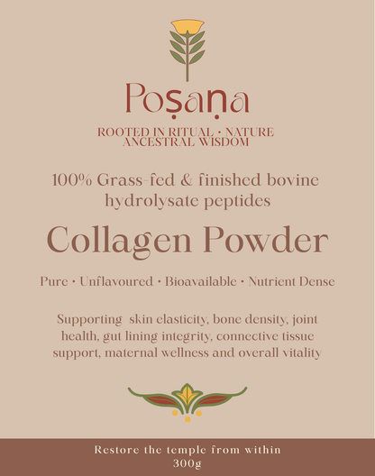 Bovine Collagen Powder