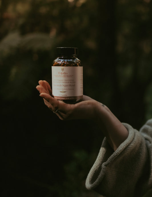 Ancestral Organ Blend
