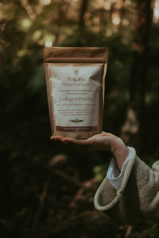 Bovine Collagen Powder