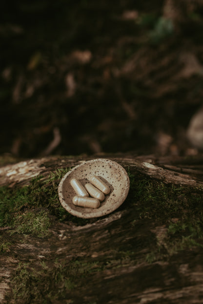 Handcrafted Ceramic Capsule Bowl