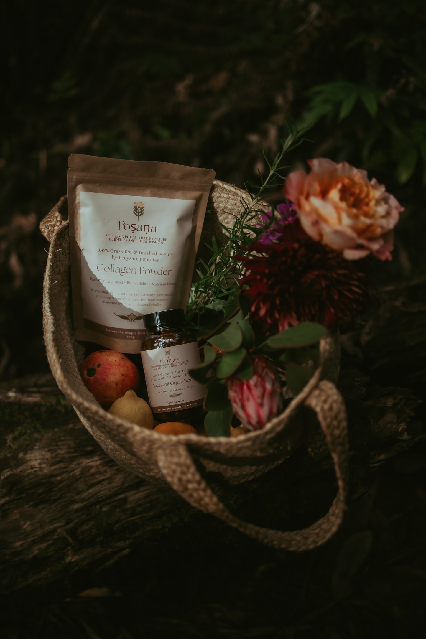 Bovine Collagen Powder