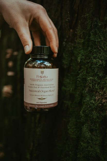 Ancestral Organ Blend