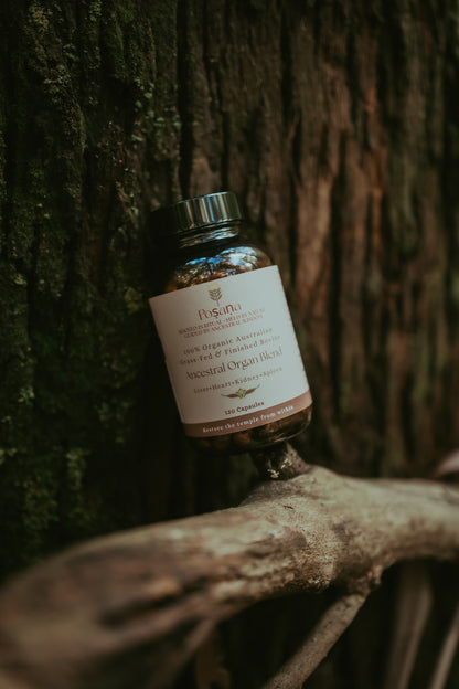 Ancestral Organ Blend