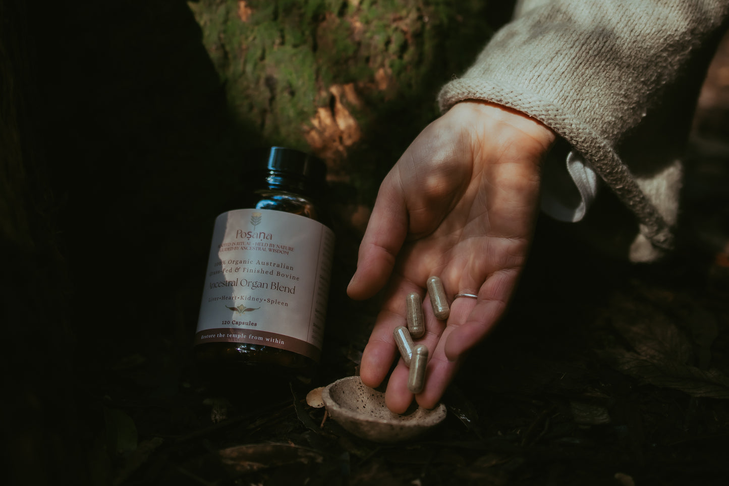 Ancestral Organ Blend