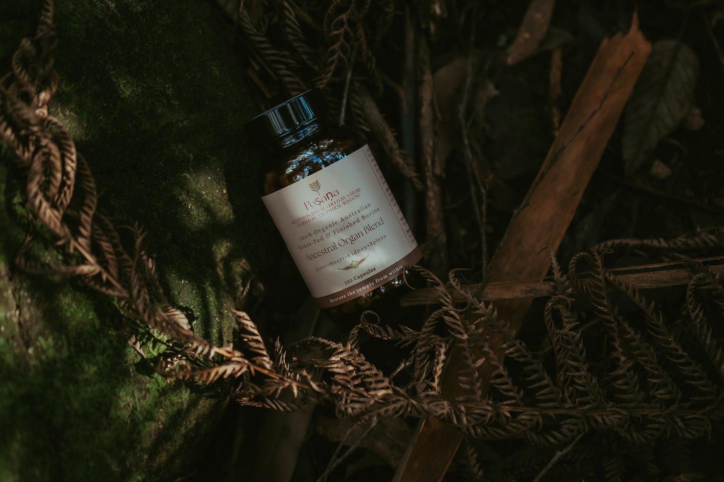 Ancestral Organ Blend