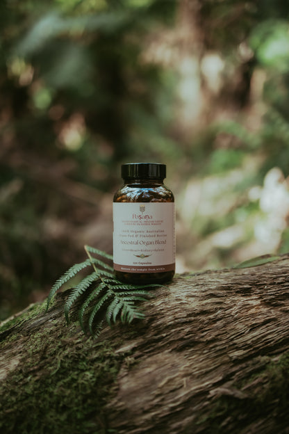 Ancestral Organ Blend