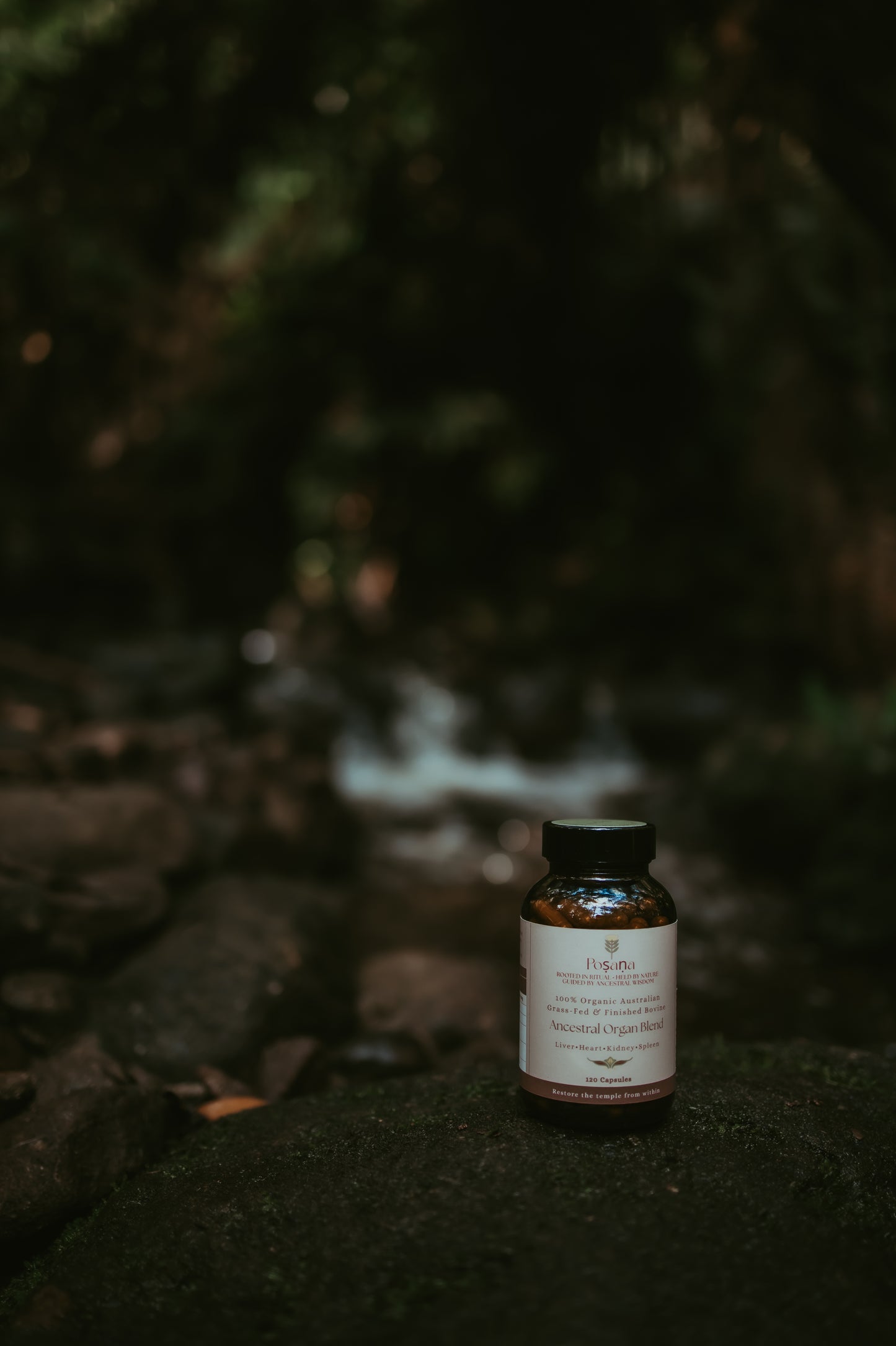 Ancestral Organ Blend