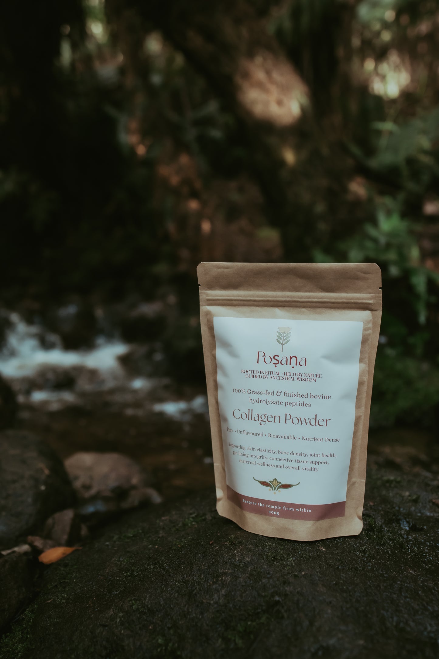 Bovine Collagen Powder